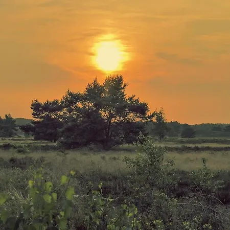 Chalé Ijsvogel Veluwe