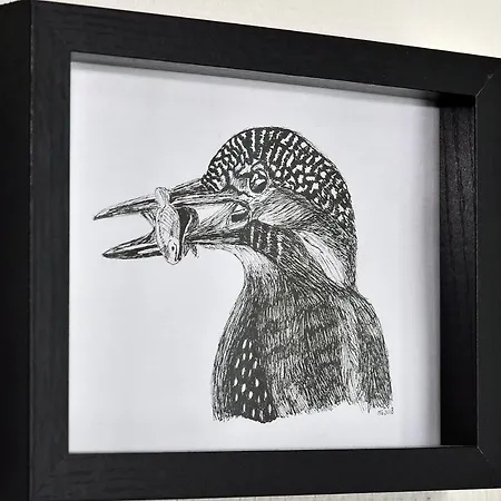 Ijsvogel Veluwe * Nunspeet