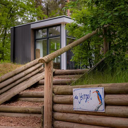 Ijsvogel Veluwe
